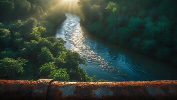 River Flowing Through Lush Green Forest and Sunlight photo