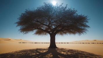 Tree in Desert Landscape with Large Shadow Under Bright Sun photo