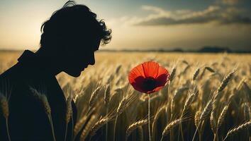 Poppy and Wheat Field at Sunset with Person Silhouette photo