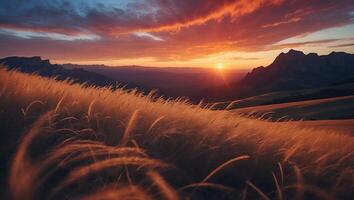 Field of Grass at Sunset Mountain Background photo