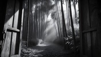 Bamboo Forest Path Leading Through Open Wooden Door photo