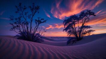 Desert Landscape with Tree Silhouette and Colorful Sunset photo