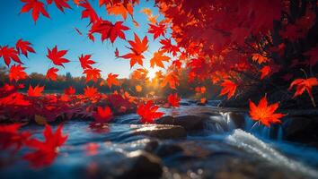 Autumn Leaves Falling on River photo