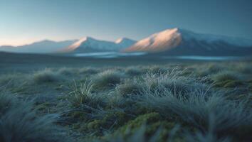 Mountain Landscape with Frosted Grass and Snow Capped Peaks photo