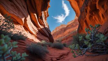 Canyon Landscape with Blue Sky and Wispy Cloud photo