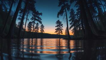 Lake and Forest at Dusk Reflecting in Water photo