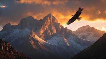 Eagle Soaring Over Majestic Mountain Range at Sunset photo