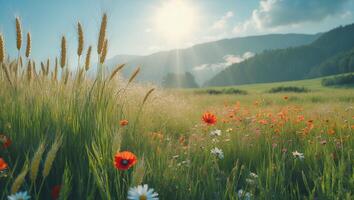 Flower Field in Summer Day with Sun and Wheat photo