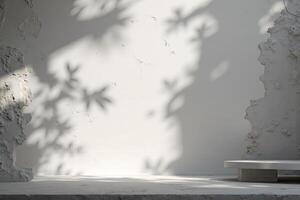 Soft Shadows and Textures on Minimalist Wall with Natural Lighting photo