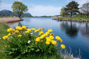 Dandelions growing near a calm lake in spring photo
