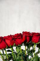 A bouquet of vibrant red roses is displayed, showcasing their elegance and freshness against a light background in natural sunlight photo
