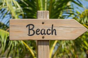 A wooden sign with the word Beach written on it, with a palm tree in the background photo