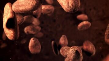 Cocoa beans fly down. Filmed on a high-speed camera at 1000 fps. High quality FullHD footage video