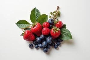 Raspberry Stem Pattern Pink photo