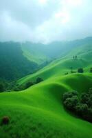 Verdant Valley Among Rolling Hills photo