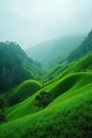 Misty Rolling Green Hillscape photo