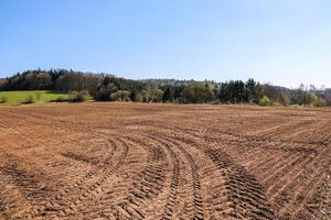 Plowed field with tractor tracks and forest in background under blue sky photo