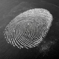 Fingerprint Identification and Security for Business and Authentication Concepts photo