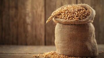 Harvest Bounty. Rustic Burlap Sack Overflowing with Golden Wheat Grains photo