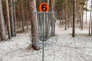 A disc golf basket with a bright orange number 6 marker stands on a sandy forest course surrounded by tall pine trees. photo