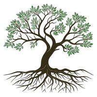 Tree With Roots on white background vector