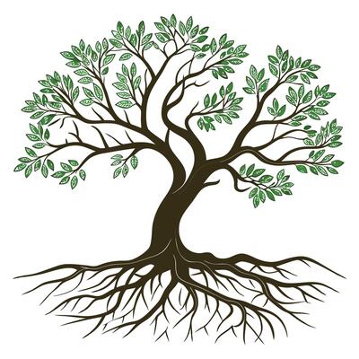 Tree With Roots on white background