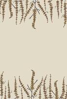 A frame with ferns on it vector