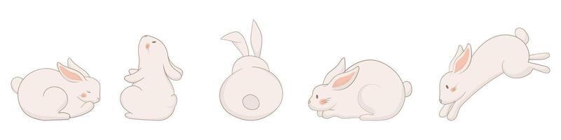 A set of four white rabbits in different poses vector