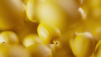 Looping animation of a group of lemons. Many lemons slowly rotate in the background in space. Horizontal composition. Defocus. Close-up. Cycle. video