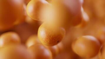 Looping animation of a group of mandarin. Many tangerines slowly rotate in the background in space. Horizontal composition. Defocus. Close-up. Cycle. video