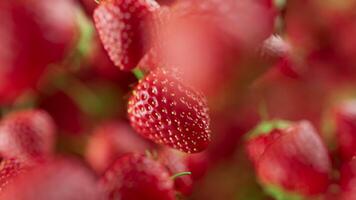 Looping animation of a group of strawberry. Many strawberry slowly rotate in the background in space. Horizontal composition. Defocus. Close-up. Cycle. video