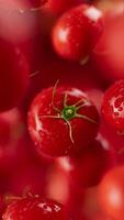 Animation of a group of tomato. Many tomatoes slowly rotate in the background in space. Vertical composition. Defocus. Close-up. video