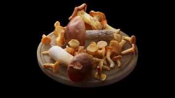 Looping animation around a composition of mushrooms lying on a wooden board. Loop motion. Alpha Channel. Close-up. video