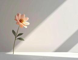 A single flower is sitting on a table in front of a window photo