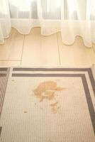 Stain on rug near window, sunlight streaming in softly photo