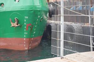 Colorful ship docked at waterfront with visible markings photo