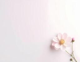 Minimalist image of a flower photo