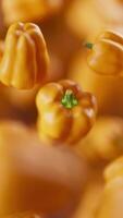 Animation of a group of bell pepper. Many bell pepper slowly rotate in the background in space. Vertical composition. Defocus. Close-up. video