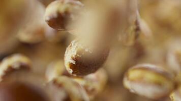 Looping animation of a group of donuts. Many donuts slowly rotate in the background in space. Horizontal composition. Defocus. Close-up. Cycle. video