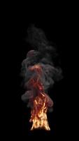 Animation of fire burning. Flame with black smoke appears on a black background and burns until the end of the . Vertical composition. File contains Alpha Channel. video