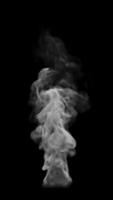 White smoke animation. White smoke appears on a black background and smokes until the end of the . Vertical composition. File contains Alpha Channel. video