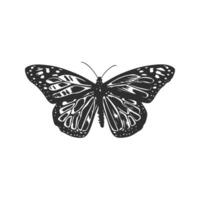 Butterfly Silhouette Illustration. Symbol Of Transformation And Freedom Isolated Illustration vector