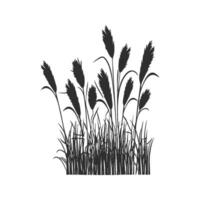 Silhouette Of Tall Grass And Reeds Illustration. Nature And Tranquility Theme Isolated Illustration vector