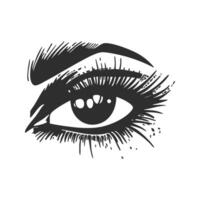 Eye With Eyebrow Silhouette Illustration. Vision And Expression Concept Isolated Illustration vector
