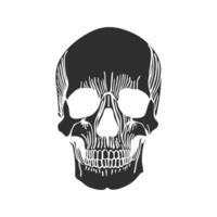 Skull Silhouette With Intricate Line Details Illustration. Symbol Of Mortality And Gothic Art. Isolated Illustration vector