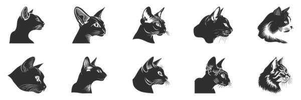 Cat Profile Silhouette Set. Diverse Cat Breeds In Profile View For Pet Lovers And Design Projects. Isolated Illustration Collection vector
