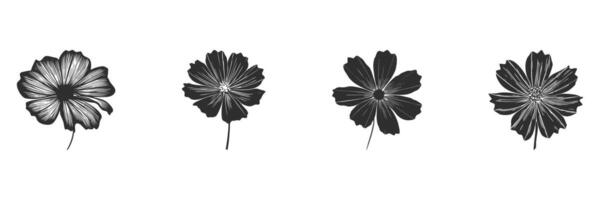 Floral Silhouette Set. Botanical Art And Design Elements Isolated Illustration Collection vector