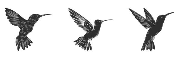 Hummingbird Silhouettes In Flight Set. Graceful Avian Motion And Elegance Isolated Illustration Collection vector