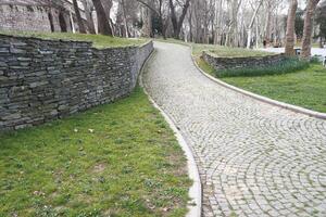 Curved cobblestone pathway in a tranquil park setting photo