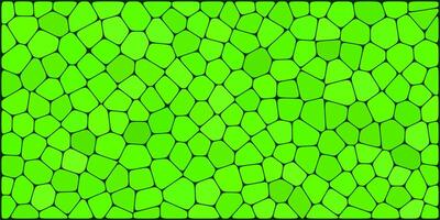 A bright green mosaic pattern resembling plant cells, outlined in black, forming an organic, irregular, tile-like structure. vector